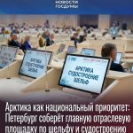 Арктика как национальный приоритет: Петербург соберёт главную отраслевую площадку по шельфу и судостроению